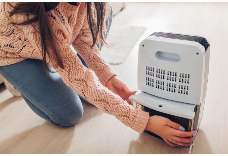 Dehumidifiers for summer in Georgia